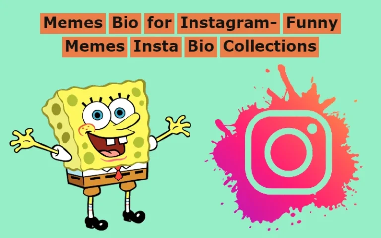 Memes Bio for Instagram