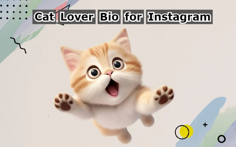 Cat Lover Bio for Instagram