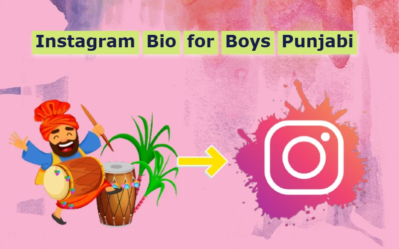 Instagram Bio for Boys Punjabi