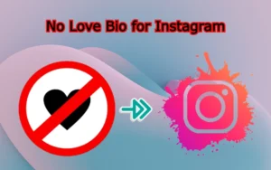 No Love Bio for Instagram